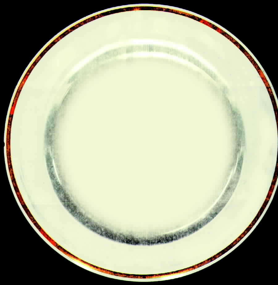 R371 Luncheon Plate by Rosenthal - Continental-1