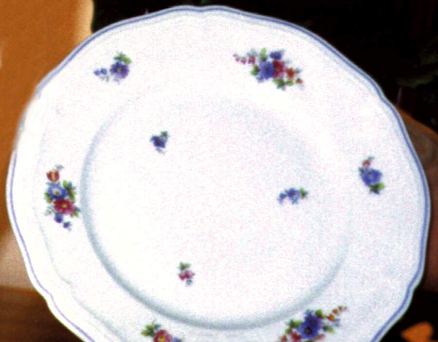 R381 Dinner Plate by Rosenthal - Continental-1