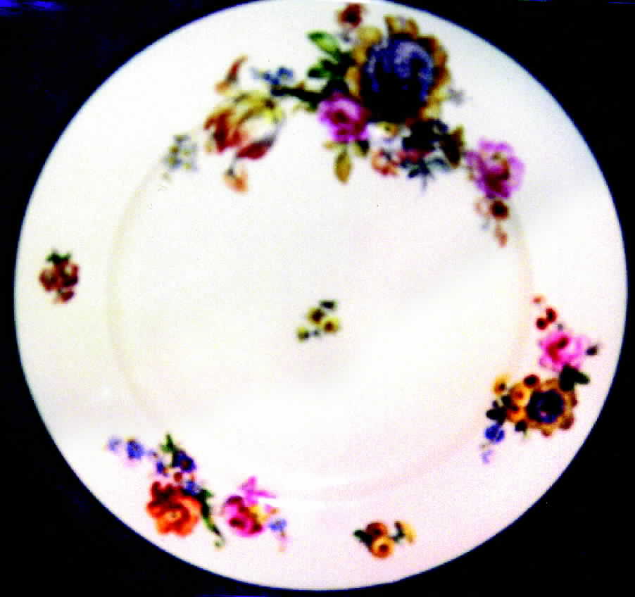 R390 Dinner Plate by Rosenthal - Continental-1