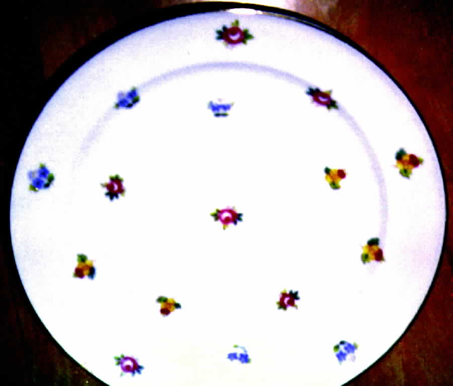 R401 Dinner Plate by Rosenthal - Continental-1