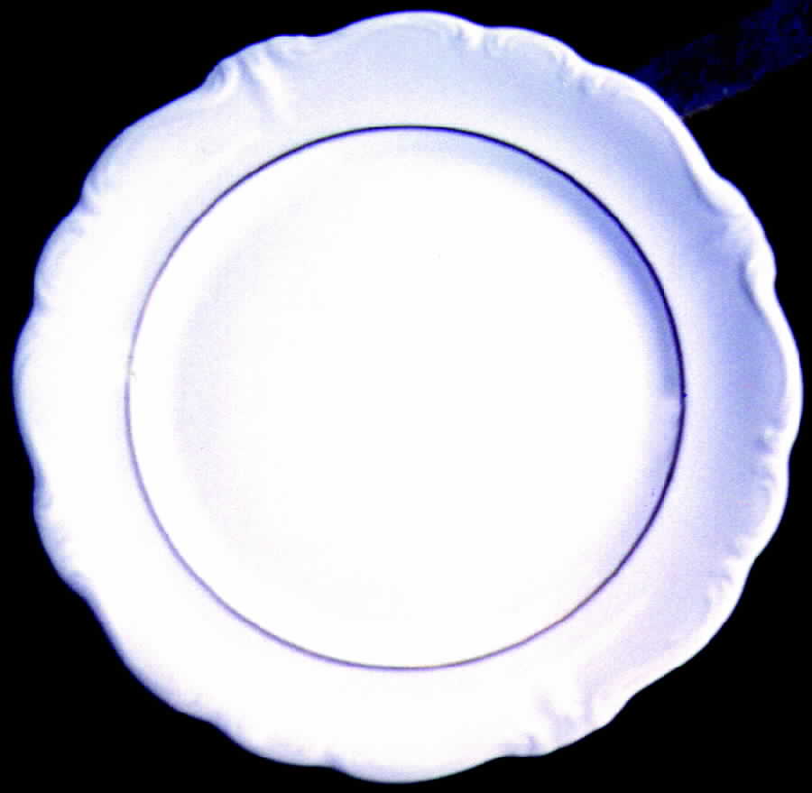 R405 Dinner Plate by Rosenthal - Continental-1