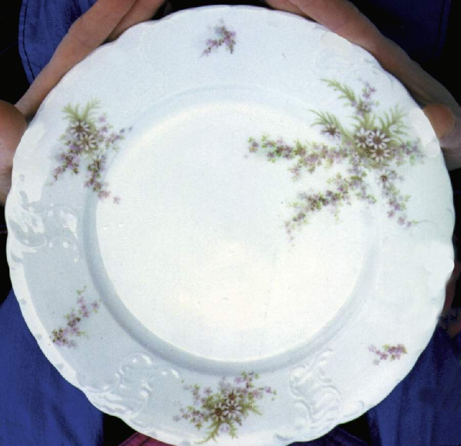 R429 Dinner Plate by Rosenthal - Continental-1