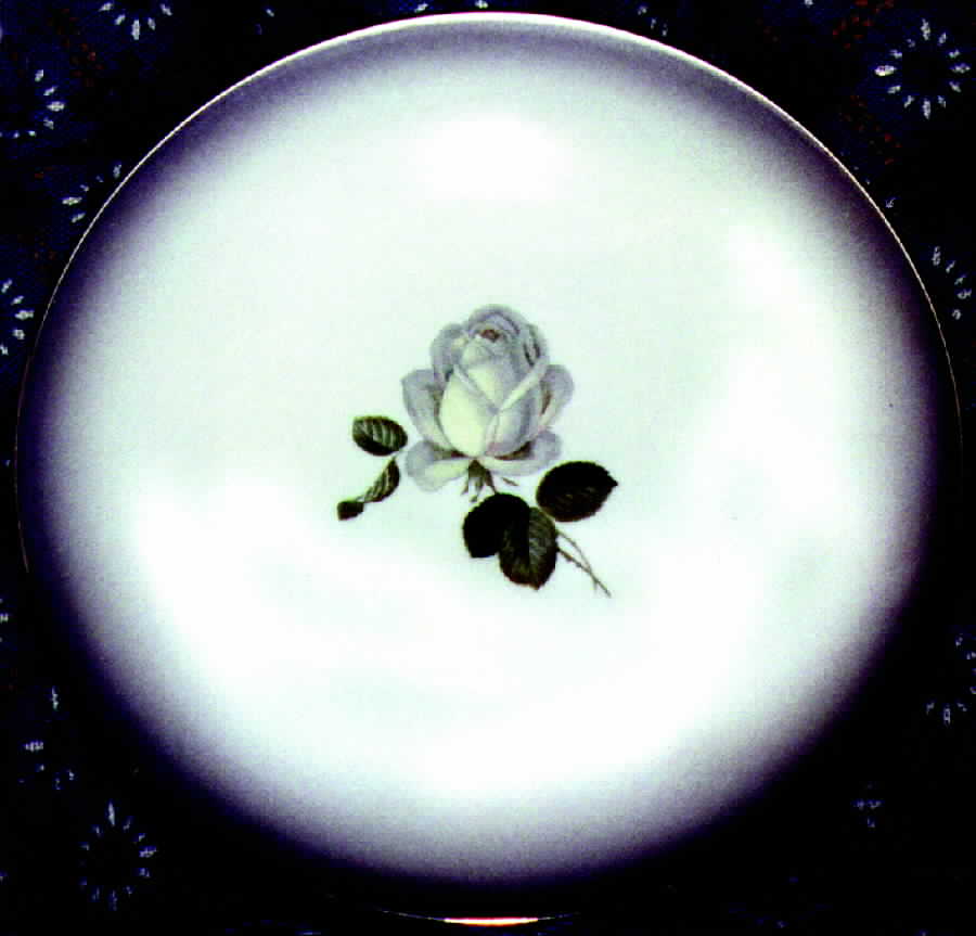 R430 Dinner Plate by Rosenthal - Continental-1