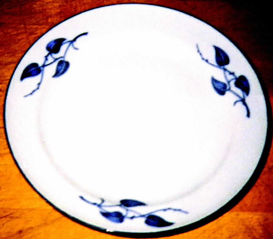 R432 Dinner Plate by Rosenthal - Continental-1