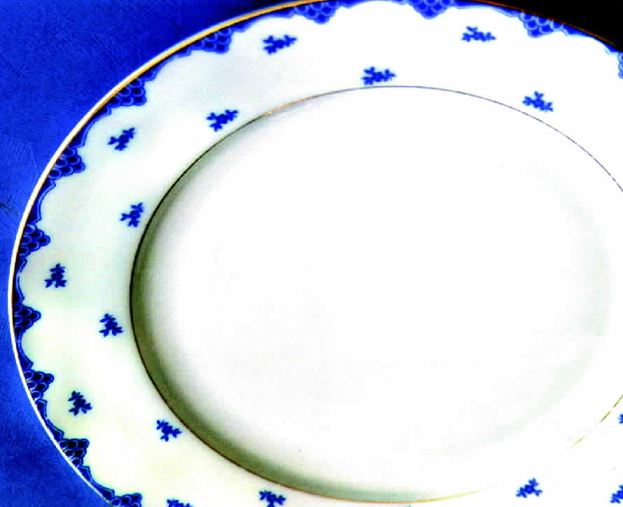 R433 Dinner Plate by Rosenthal - Continental-1