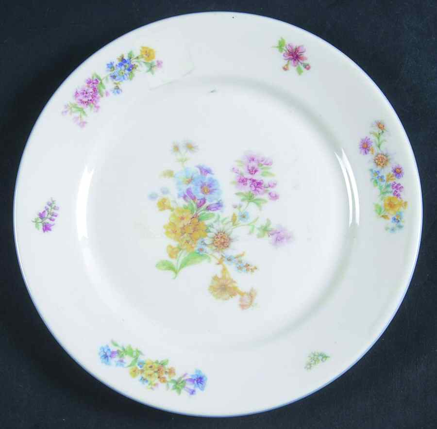 R439 Bread & Butter Plate by Rosenthal - Continental-1