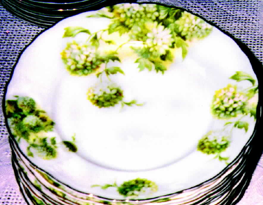 R464 Dinner Plate by Rosenthal - Continental-1