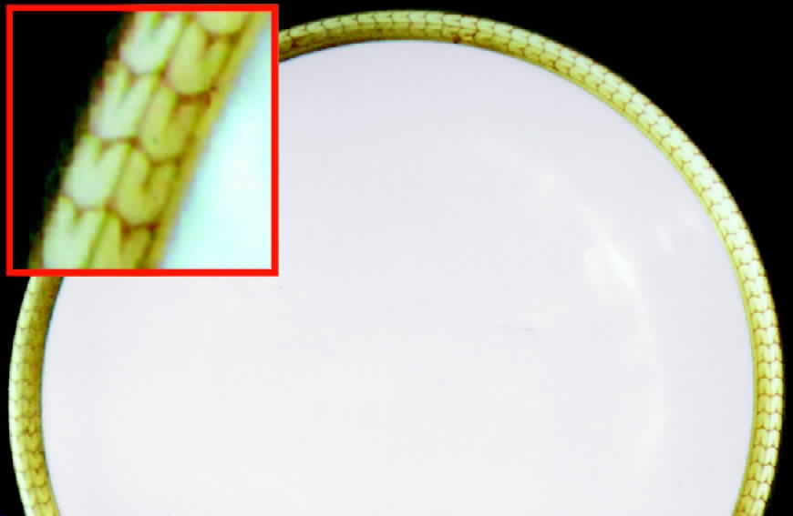 R474 Dinner Plate by Rosenthal - Continental-1