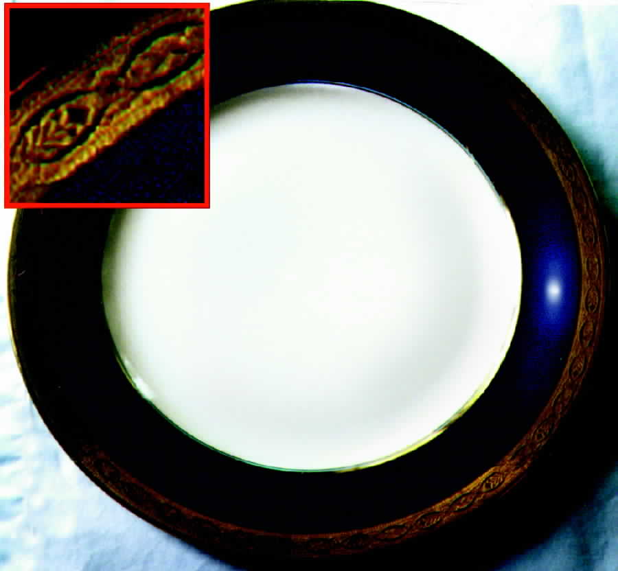 R489 Dinner Plate by Rosenthal - Continental-1