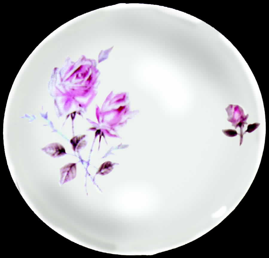 R492 Dinner Plate by Rosenthal - Continental-1