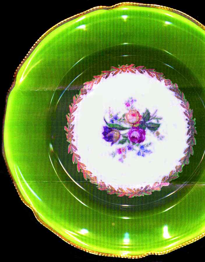 R496 Dinner Plate by Rosenthal - Continental-1