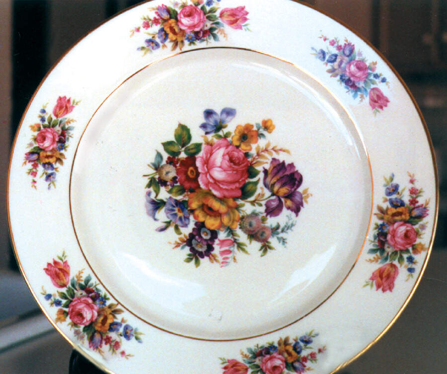 R540 Dinner Plate by Rosenthal - Continental-1