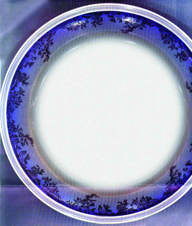 R550 Dinner Plate by Rosenthal - Continental-1