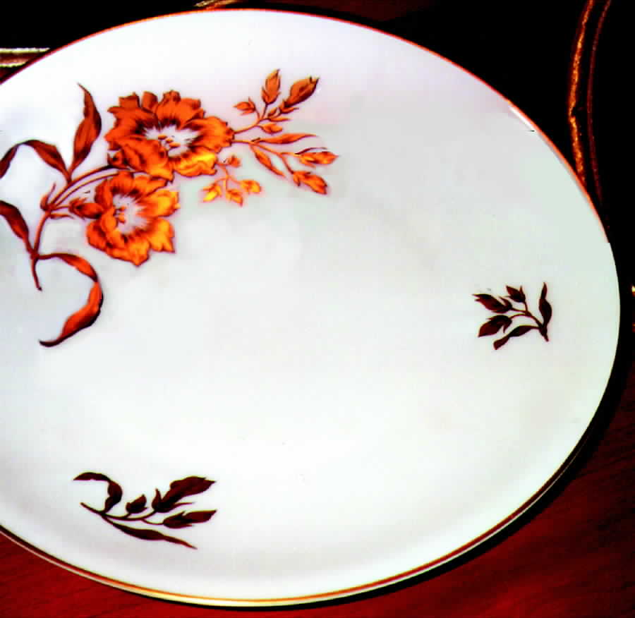 R555 Dinner Plate by Rosenthal - Continental-1
