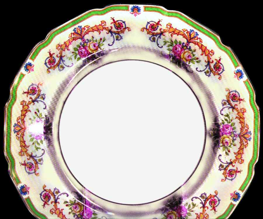 R556 Dinner Plate by Rosenthal - Continental-1