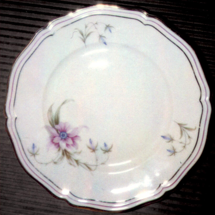 R567 Dinner Plate by Rosenthal - Continental-1