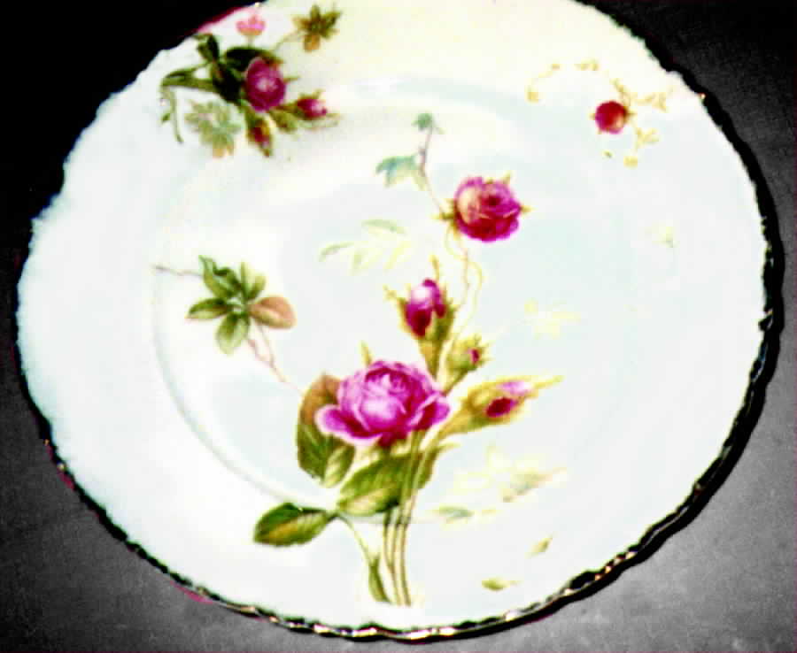 R569 Luncheon Plate by Rosenthal - Continental-1