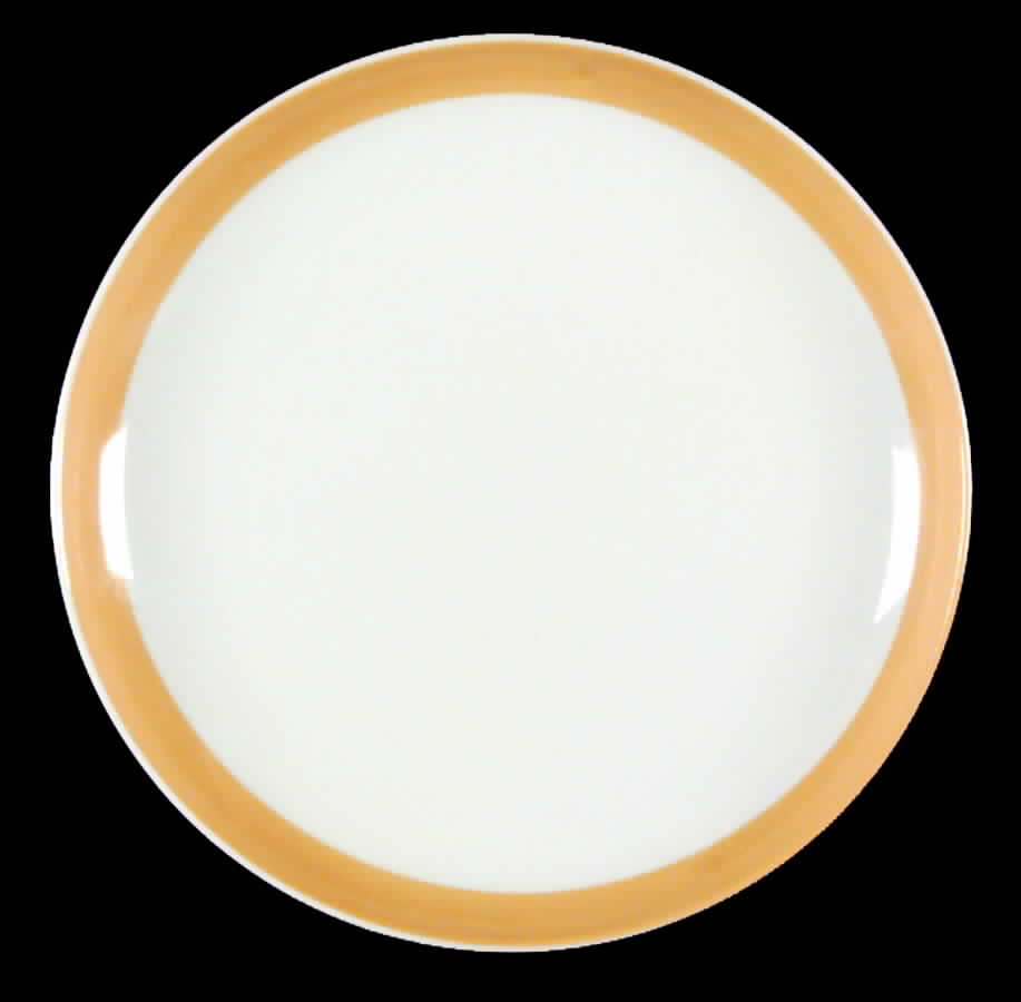 R74 Bread & Butter Plate by Rosenthal - Continental-1