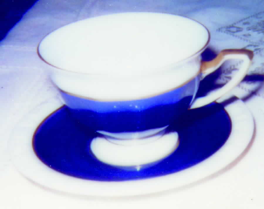 R81 Footed Cup & Saucer Set by Rosenthal - Continental-1