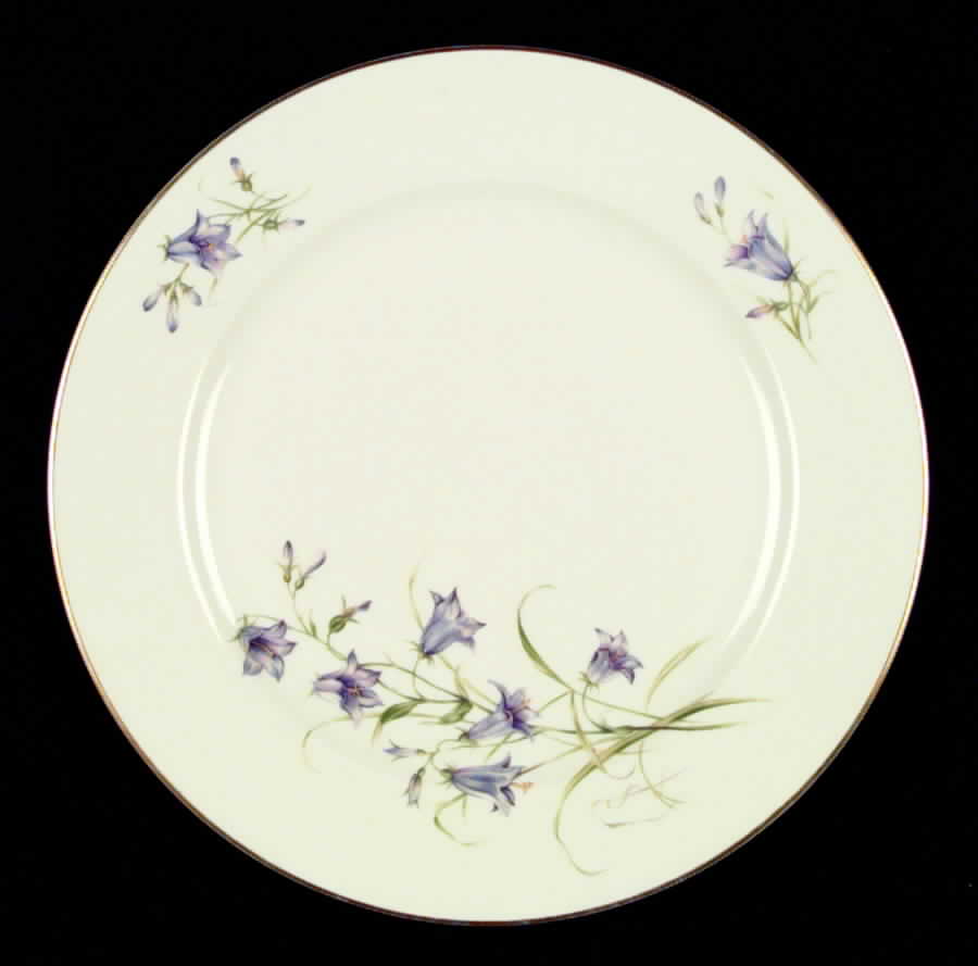 R85 Dinner Plate by Rosenthal - Continental-1