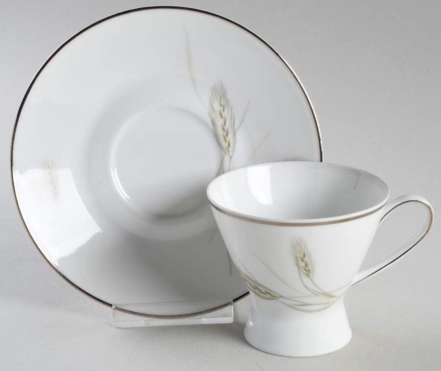 Regina Platinum Footed Cup & Saucer Set by Rosenthal - Continental-1