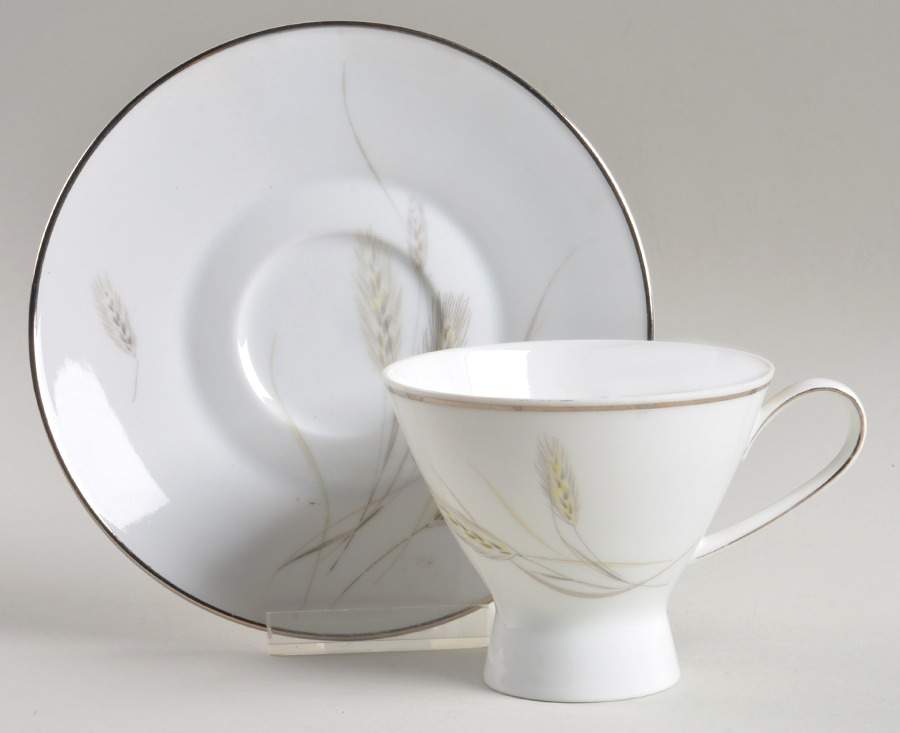 Regina Platinum Footed Cup & Saucer Set by Rosenthal - Continental-1