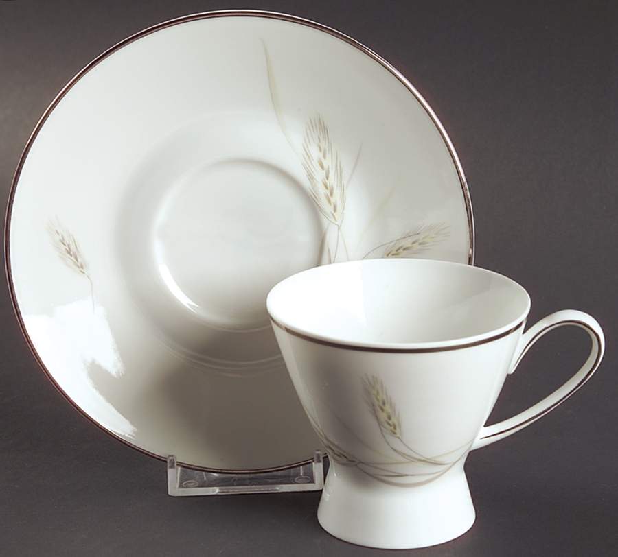 Regina Platinum Footed Demitasse Cup & Saucer Set by Rosenthal - Continental-1