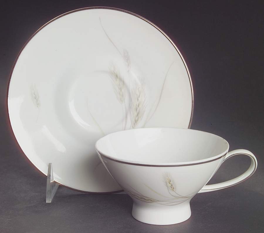 Regina Platinum Footed Cup & Saucer Set by Rosenthal - Continental-1