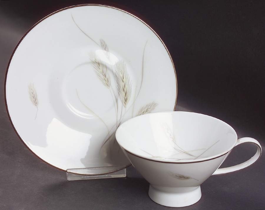 Regina Platinum Footed Cup & Saucer Set by Rosenthal - Continental-1