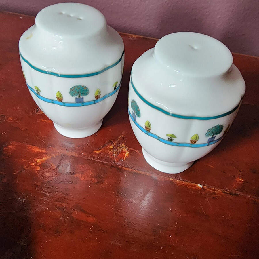 Royal Garden Salt & Pepper Set by Rosenthal - Continental-1