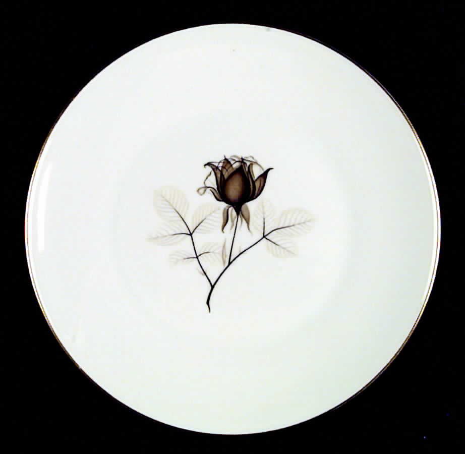 Shadow Rose Dinner Plate by Rosenthal - Continental-1