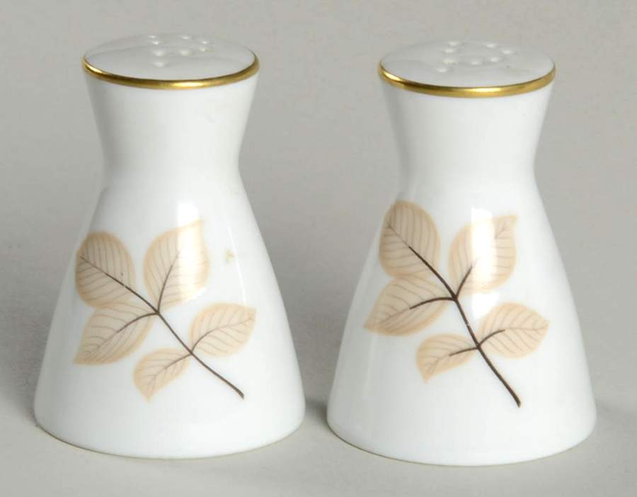 Shadow Rose Salt & Pepper Set by Rosenthal - Continental-1