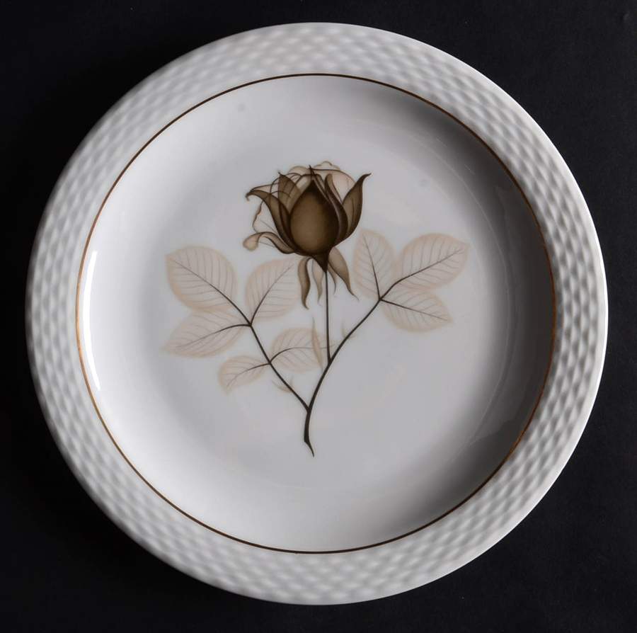 Silhouette Salad Plate by Rosenthal - Continental-1