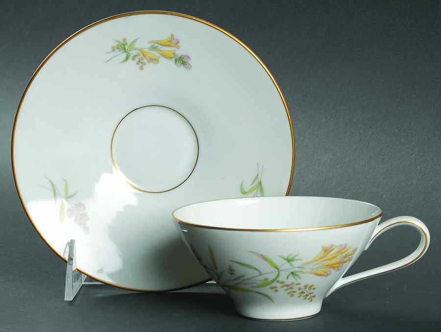 Summer Blossoms White Flat Cup & Saucer Set by Rosenthal - Continental-1