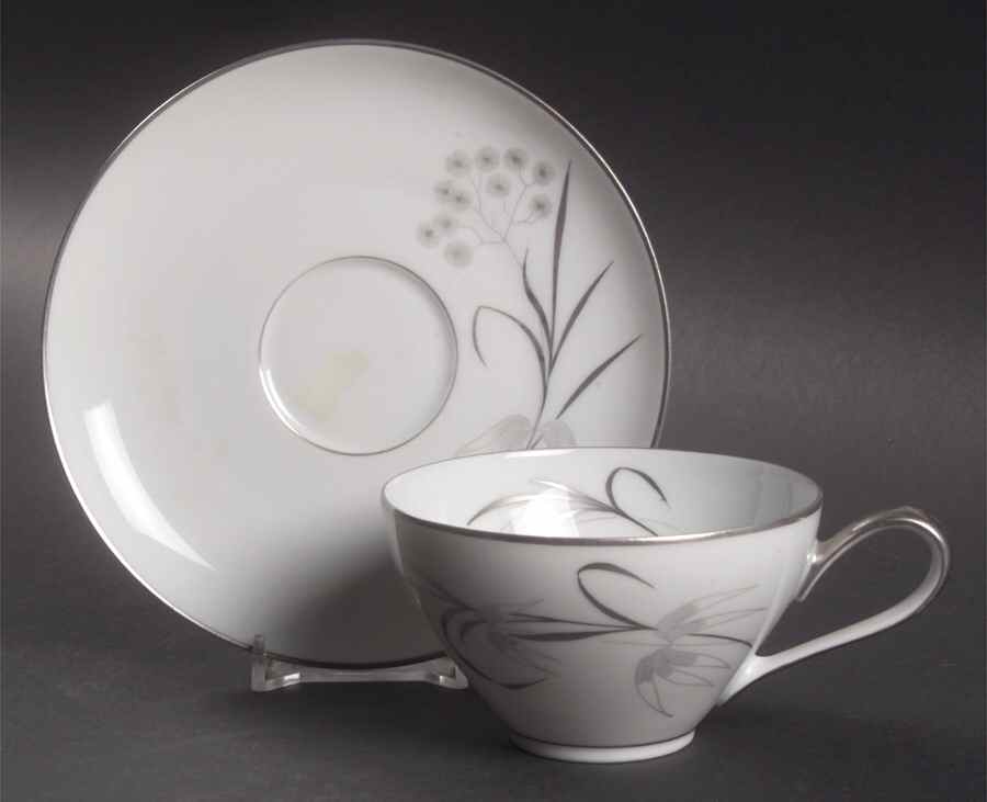 Summerwind Flat Cup & Saucer Set by Rosenthal - Continental-1