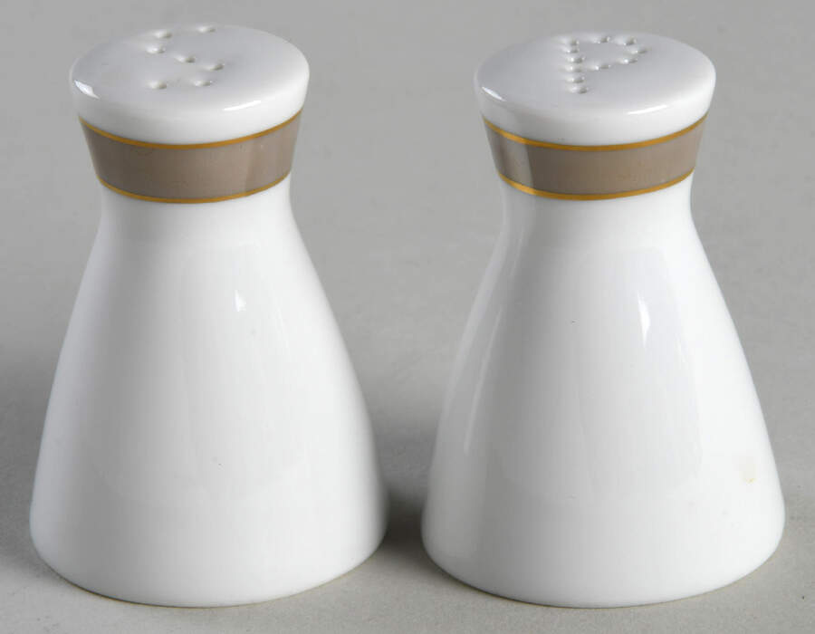 Taupe Band Salt & Pepper Set by Rosenthal - Continental-1