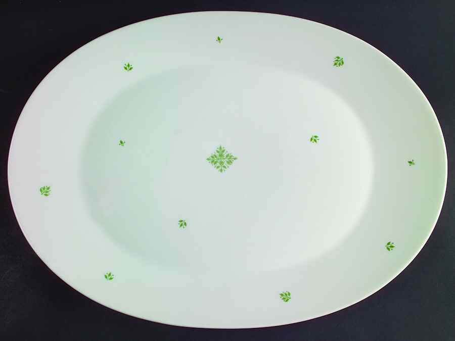 Vienna Woods 15" Oval Serving Platter by Rosenthal - Continental-1