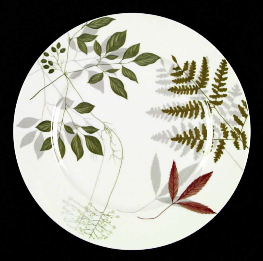 Woodland Ferns (Aida) Dinner Plate by Rosenthal - Continental-1