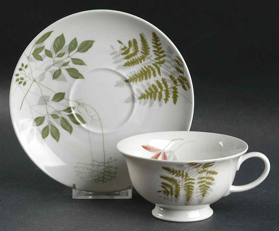 Woodland Ferns (Aida) Footed Cup & Saucer Set by Rosenthal - Continental-1