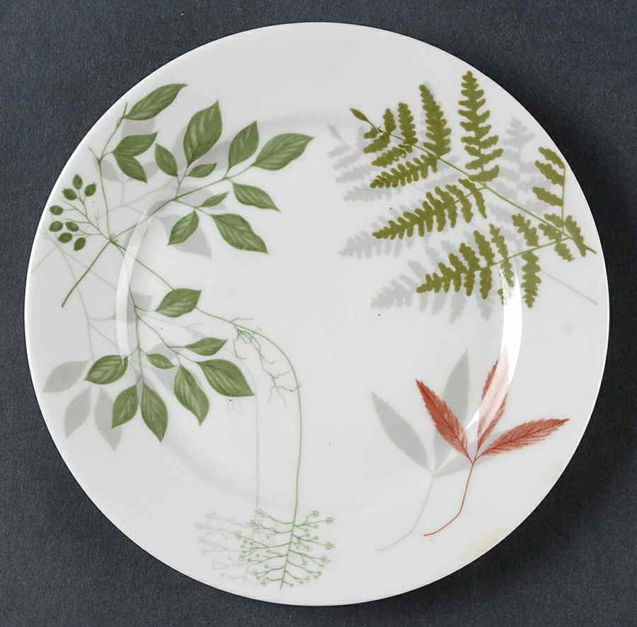 Woodland Ferns (Aida) Bread & Butter Plate by Rosenthal - Continental-1