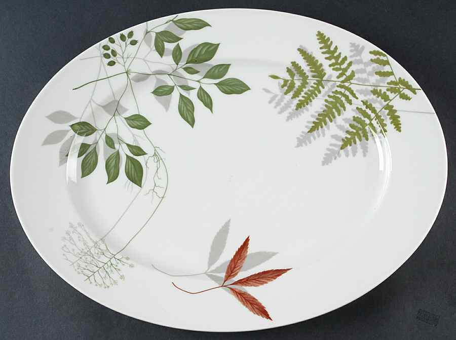 Woodland Ferns (Aida) 15" Oval Serving Platter by Rosenthal - Continental-1