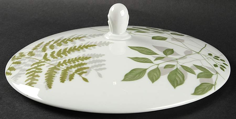 Woodland Ferns (Aida) Lid for Round Vegetable by Rosenthal - Continental-1