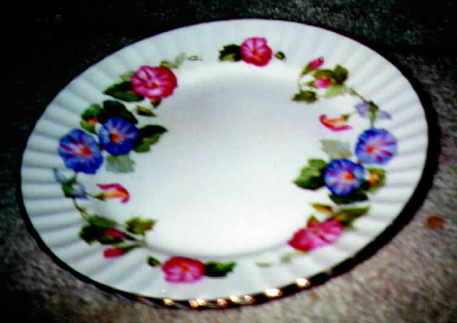 RAD1 Dinner Plate by Samuel Radford-1