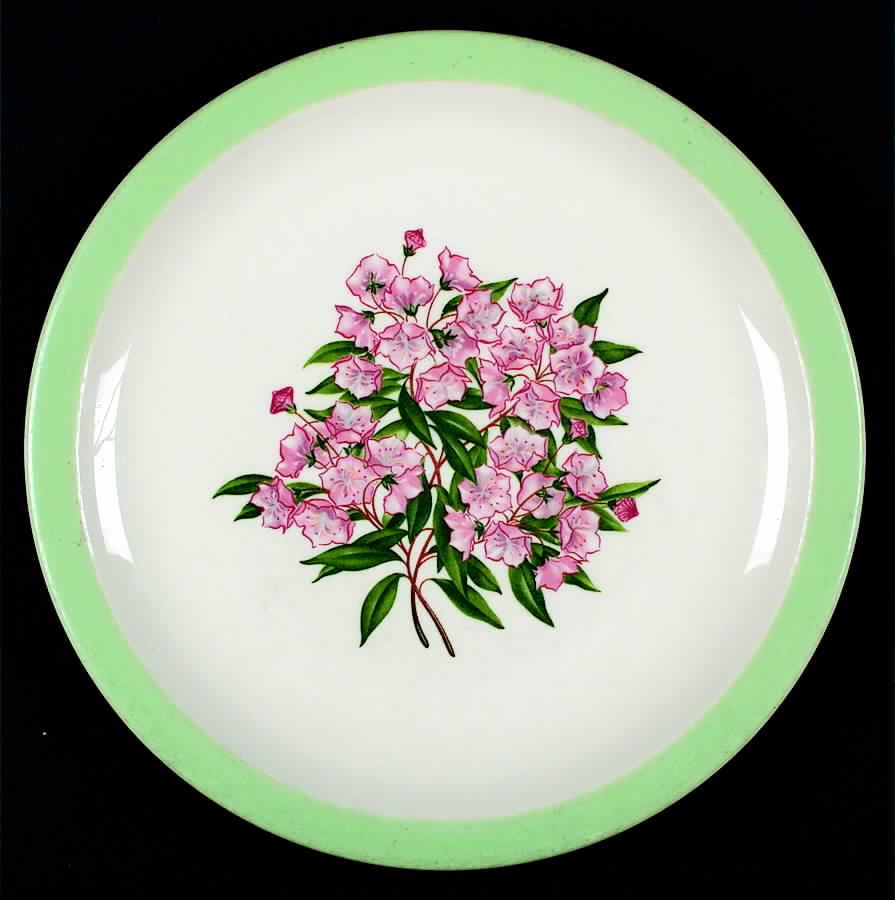 Mountain Laurel (Pennsylvania) Dinner Plate by Syracuse-1