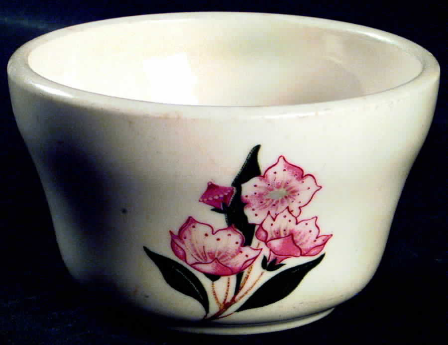 Mountain Laurel (Pennsylvania) Flat Bouillon Cup by Syracuse-1