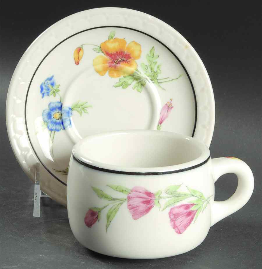 Prairie Mountain Wildflowers (Southern Pacific) Flat Cup & Saucer Set by Syracuse-1