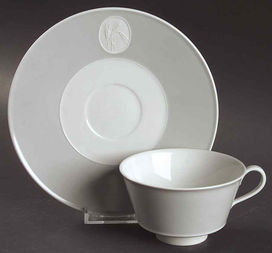 Arcadia Gray (No Trim, White Background) Flat Cup & Saucer Set by Royal Berlin-1