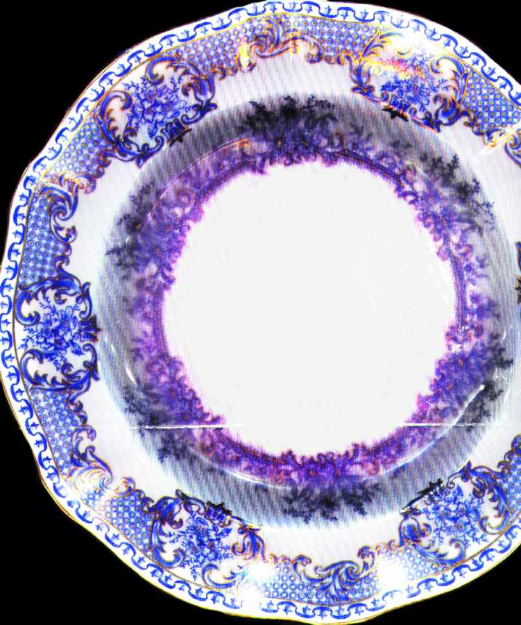 3663 Dinner Plate by Royal Crown Derby-1