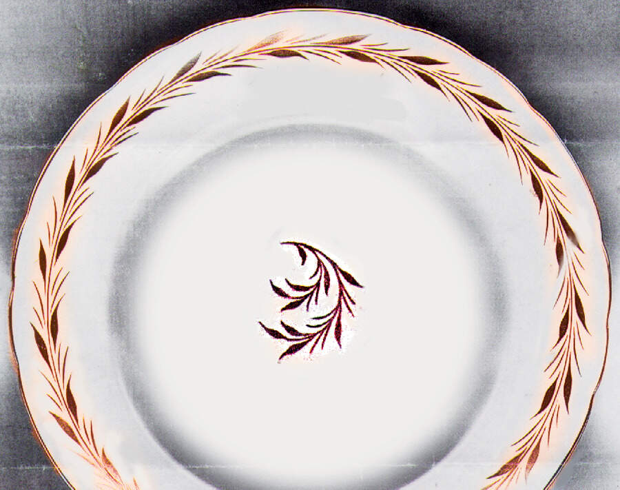 A376 Salad Plate by Royal Crown Derby-1