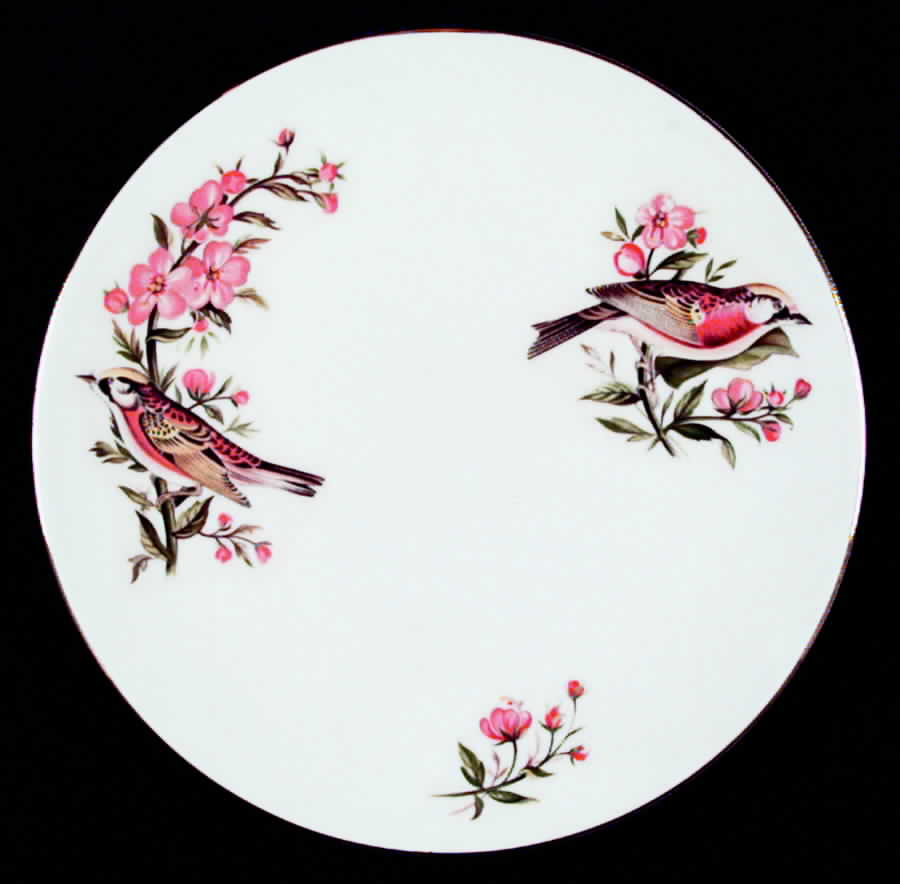 Audubon Birds Salad Plate by Royal Chelsea-1